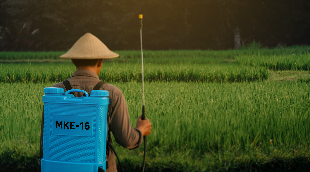 Diversifikasi Tanaman Solusi Petani