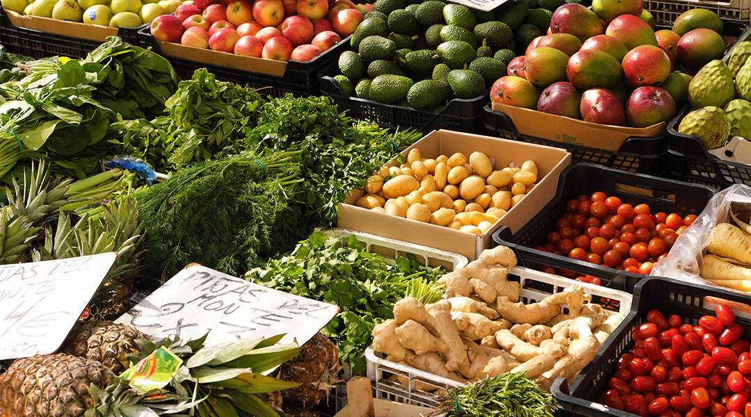 Apakah Program MBG Penyebab Harga Pangan Naik di Indonesia?