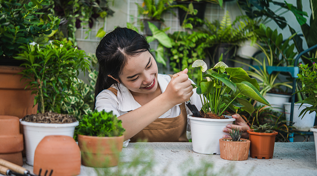 menjaga kebun saat ditinggal mudik